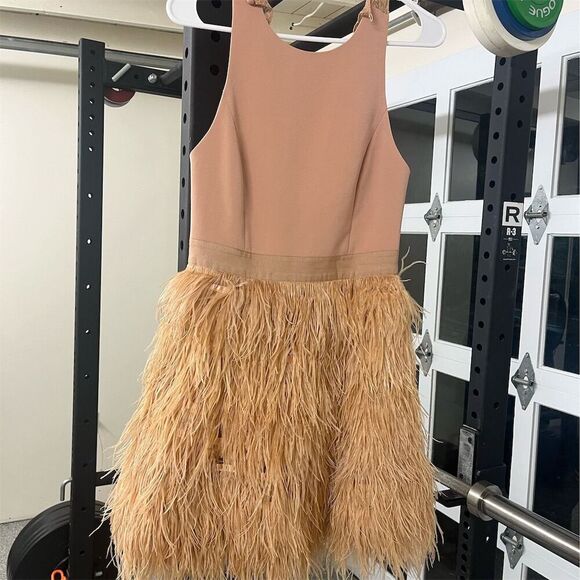 Alice + Olivia Philomena Lace High Neck Mini Dress Pink Feather Skirt Women's - Picture 12 of 14